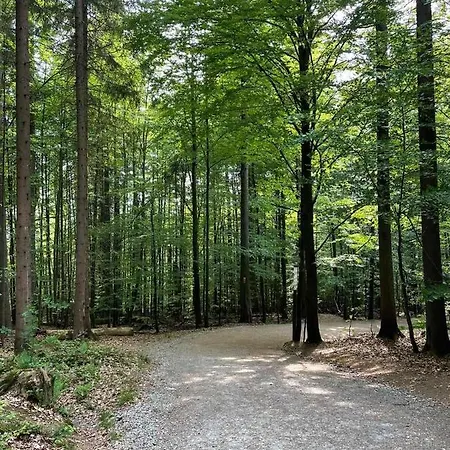 アパート Privates Monteurzimmer Im Hotel Riesberghof Lindberg リントベルク